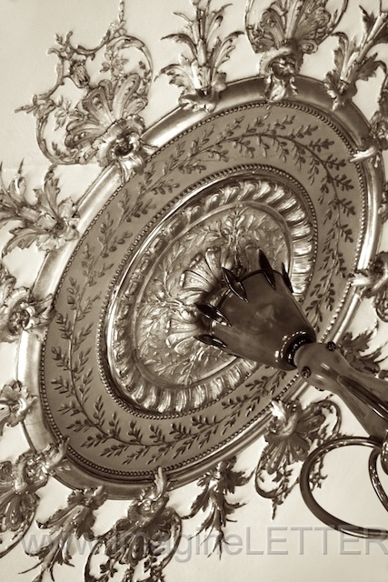 Wall_Art_Alphabet_Photography_Art_ 1870.jpg